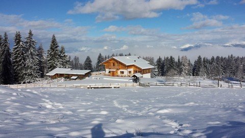 Die neu eröffnete Laab Alm