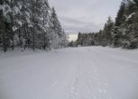 Langlaufen rund um Deutschnofen