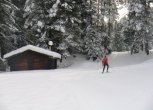 20 km herrliche Loipen in perfektem Zustand