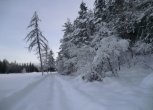 Winterimpression Deutschnofen